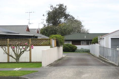 Photo of property in 103b Winchester Street, Levin, 5510