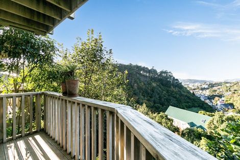 Photo of property in 131 Raroa Road, Aro Valley, Wellington, 6012