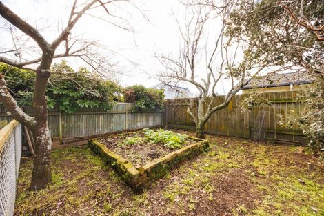 Photo of property in 17 Manson Street, Terrace End, Palmerston North, 4410