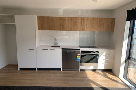 Photo of property in 24 Panoni Lane, Howick, Auckland, 2014