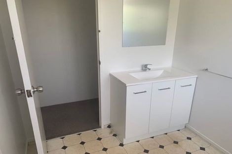 Photo of property in 29 Barneys Farm Road, Clendon Park, Auckland, 2103