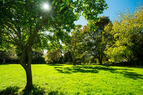 Photo of property in 596 Riverside Road, Matokitoki, Gisborne, 4071