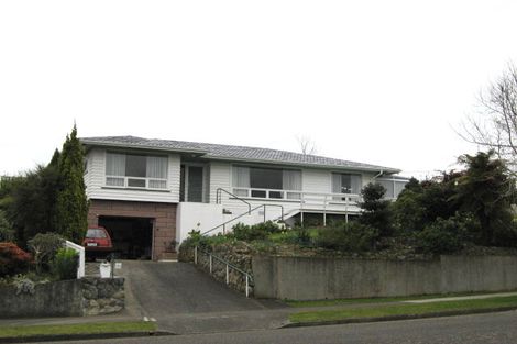 Photo of property in 113 Winchester Street, Levin, 5510