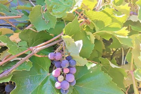 Photo of property in 11 Jellicoe Avenue, Wairoa, 4108