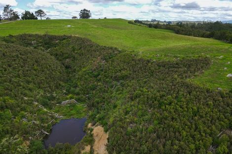 Photo of property in 1371 Ruapekapeka Road, Kawakawa, 0182