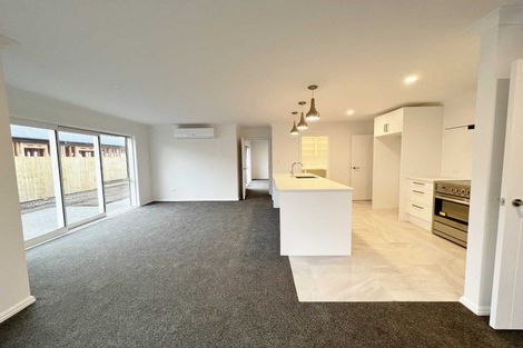 Photo of property in 51 Mcquillan Avenue, Woodend, 7610