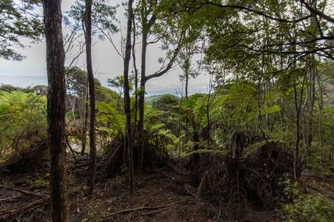 Photo of property in 980 Buffalo Road, Coromandel, 3506