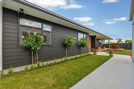 Photo of property in 11 Wescombe Grove, Feilding, 4702