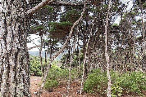 Photo of property in 19 Woods Ridge Road, Kawau Island, 0920