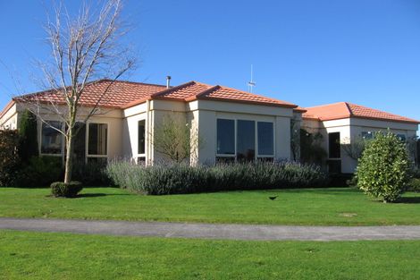 Photo of property in 21 Madison Avenue, Milson, Palmerston North, 4414