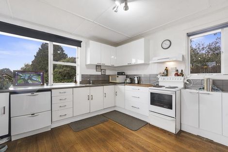 Photo of property in 90 Reservoir Street, Putaruru, 3411