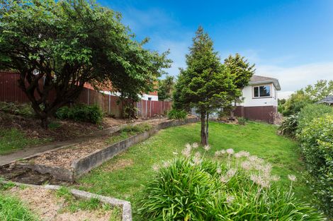 Photo of property in 105 Riselaw Road, Calton Hill, Dunedin, 9012