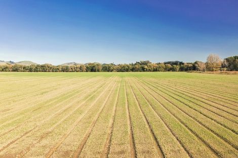 Photo of property in 406 Whatatutu Road, Te Karaka, 4094