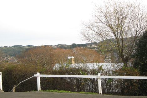 Photo of property in 24 Ann Street, Roslyn, Dunedin, 9010