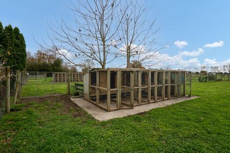 Photo of property in 261 Kaipaki Road, Ohaupo, 3881