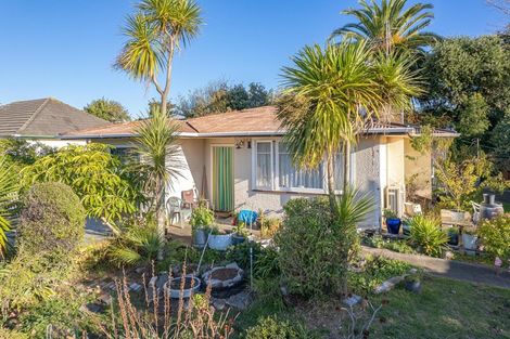 Photo of property in 101 Purnell Street, College Estate, Whanganui, 4500