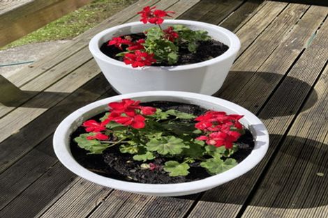 Photo of property in 82 Victoria Avenue, Avenal, Invercargill, 9810