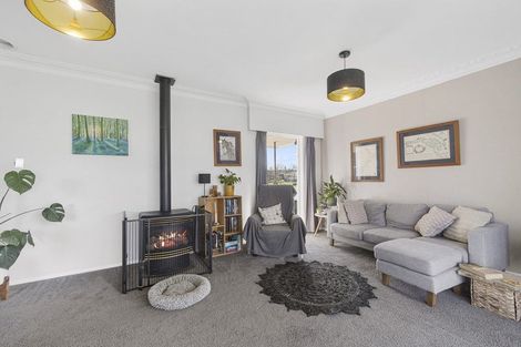 Photo of property in 203 Warburton Crescent, Te Awamutu, 3800