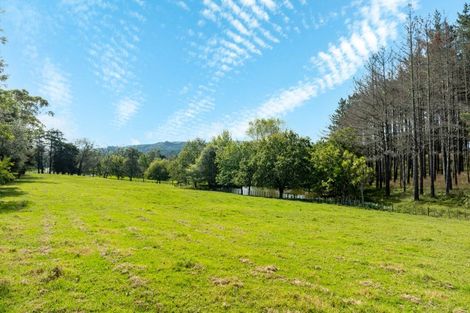 Photo of property in 894 Horseshoe Bush Road, Waitoki, Kaukapakapa, 0871