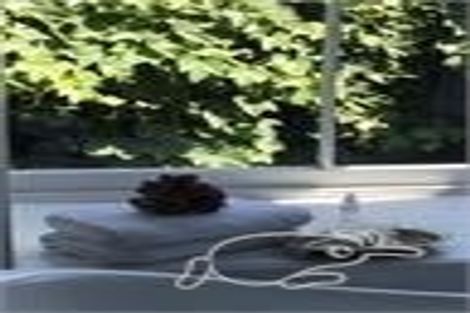 Photo of property in 10 Bryce Street, Cambridge, 3434