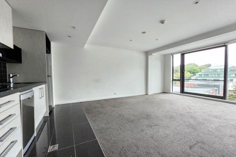 Photo of property in Nouvo Apartments, 4f/21 Rugby Street, Mount Cook, Wellington, 6021