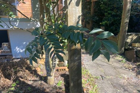 Photo of property in 10 Wheaton Place, Glen Eden, Auckland, 0602