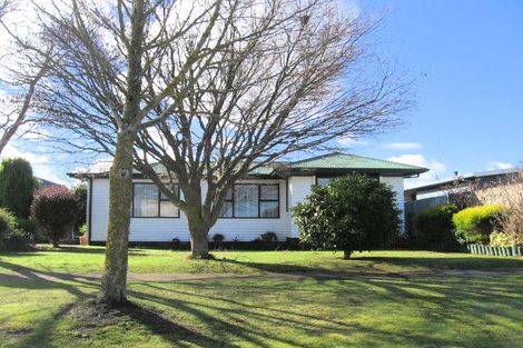 Photo of property in 304 Leo Street, Akina, Hastings, 4122