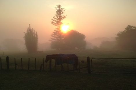 Photo of property in 123 Colville Road, Dargaville, 0377