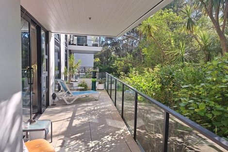 Photo of property in 209/8 Kingsland Terrace, Kingsland, Auckland, 1021