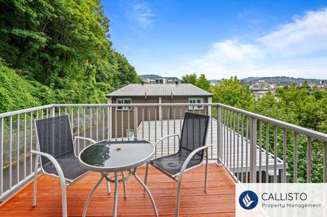 Photo of property in 66a Maclaggan Street, Dunedin Central, Dunedin, 9016