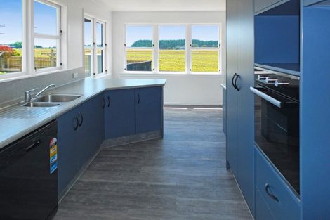 Photo of property in 49 Park Street, Foxton, 4814