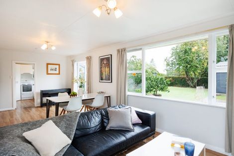 Photo of property in 382 Ruahine Street, Terrace End, Palmerston North, 4410