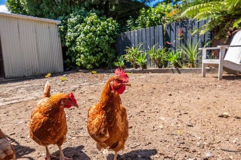 Photo of property in 2 Bowen Street, Levin, 5510