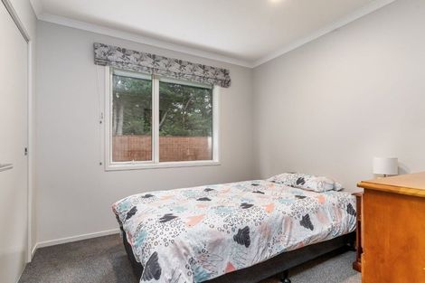 Photo of property in 8 Maple Grove, Solway, Masterton, 5810