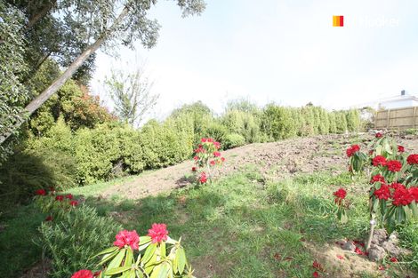 Photo of property in 44 Newport Street, Belleknowes, Dunedin, 9011