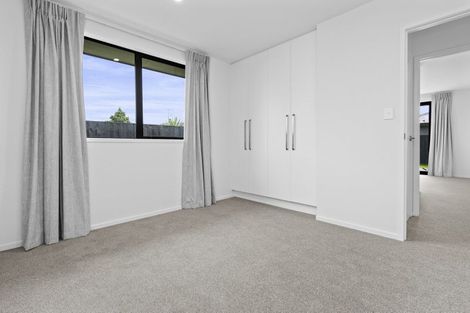 Photo of property in 399a Peachgrove Road, Fairfield, Hamilton, 3214