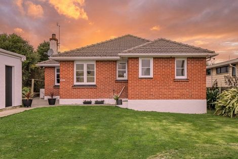 Photo of property in 20 Albion Street, Shiel Hill, Dunedin, 9013