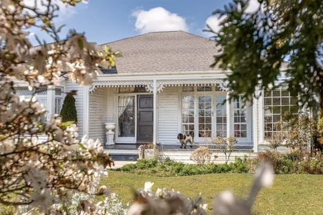 Photo of property in 143 Russell Street, Westport, 7825