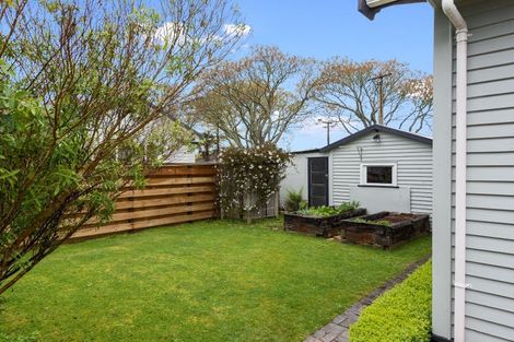 Photo of property in 55 Brookfield Street, Hamilton East, Hamilton, 3216