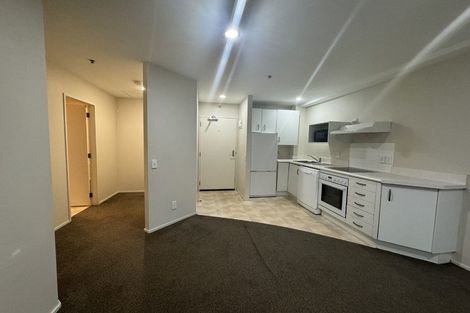 Photo of property in Courtenay Apartments, 206/120 Courtenay Place, Te Aro, Wellington, 6011