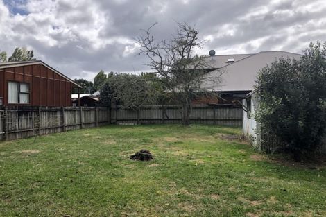 Photo of property in 117 Dey Street, Hamilton East, Hamilton, 3216