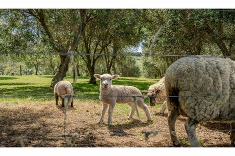 Photo of property in 11 Parkland Drive, Pakaraka, Kaikohe, 0472