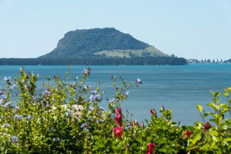 Photo of property in 40 Oikimoke Road, Te Puna, Tauranga, 3176