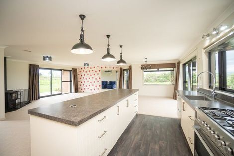 Photo of property in 566 Taonui Road, Colyton, Feilding, 4775