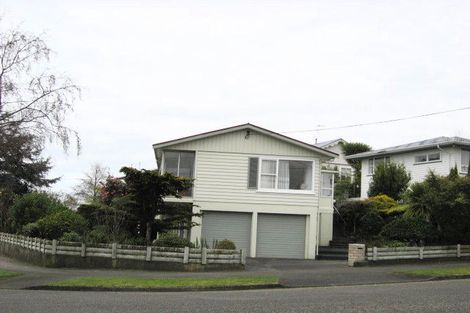 Photo of property in 111 Winchester Street, Levin, 5510