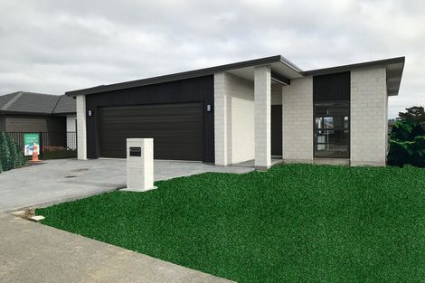 Photo of property in 55 Sentinel Avenue, Omokoroa, 3114