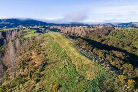 Photo of property in 17 Chatfield Lane, Aokautere, 4471