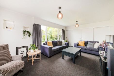 Photo of property in 11 Erin Street, Hokowhitu, Palmerston North, 4410
