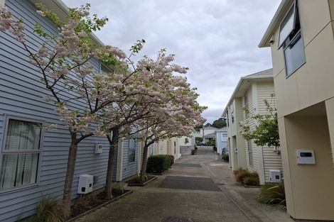 Photo of property in 1/44 Owen Street, Newtown, Wellington, 6021