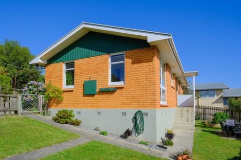 Photo of property in 130 Mulford Street, Concord, Dunedin, 9018
